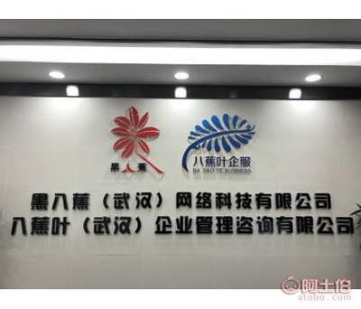 八蕉葉 武漢稅務代理的專業伙伴，助力企業穩健成長